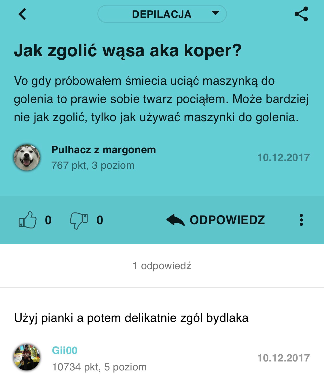 Koper aka golenie