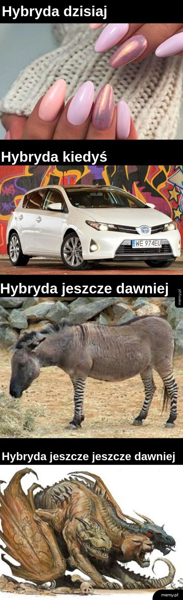 Hybryda