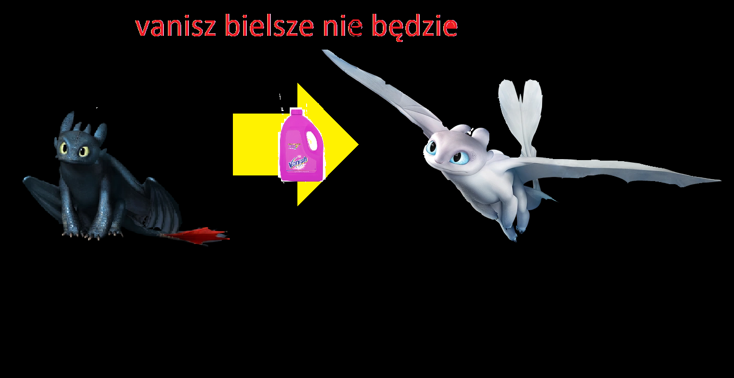 vvanisz bielsze