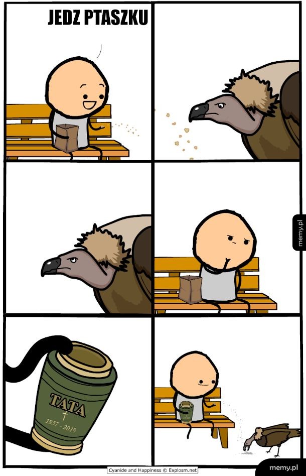 Dokarmianie w parku