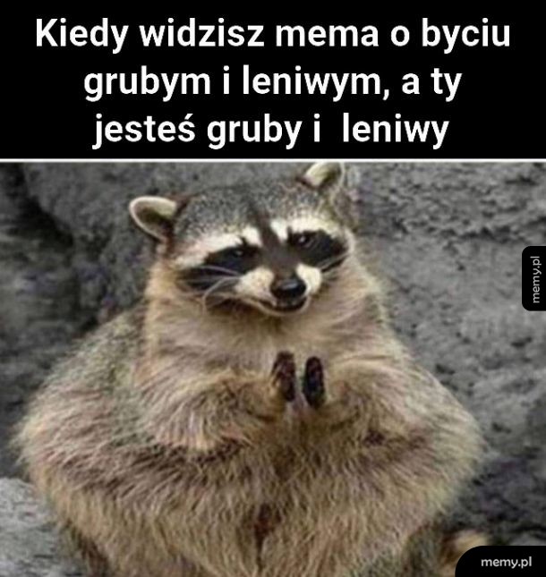 Świetnie