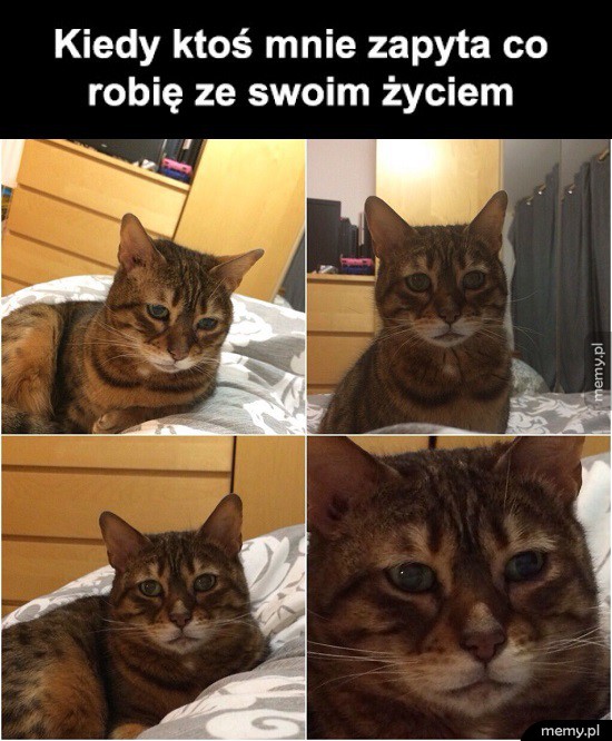 Trudne pytanie