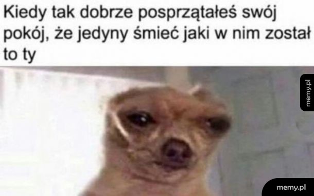 Czas zamieszkać w kontenerze
