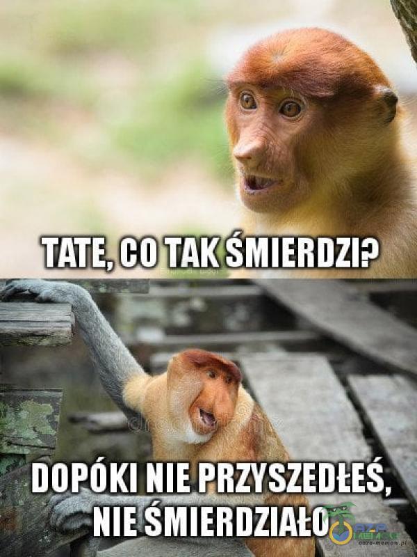 XDDDDDDDDD