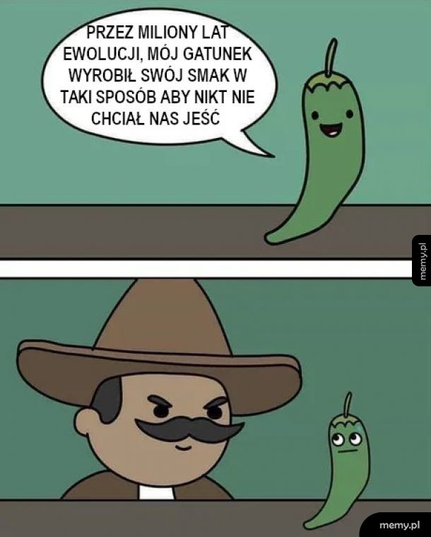 Ewolucja