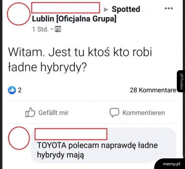 Hybrydy
