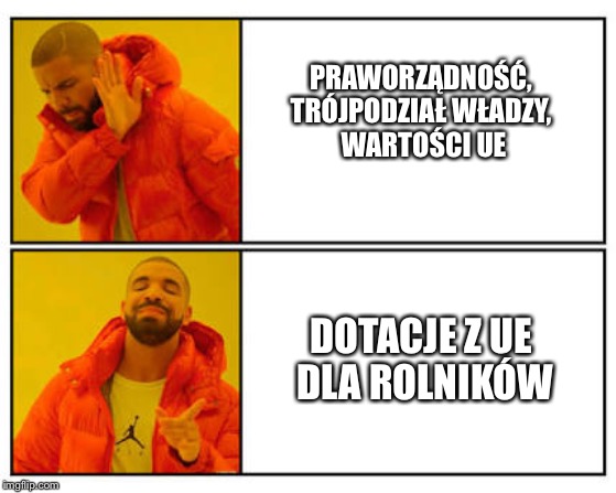 Wybory Polaków