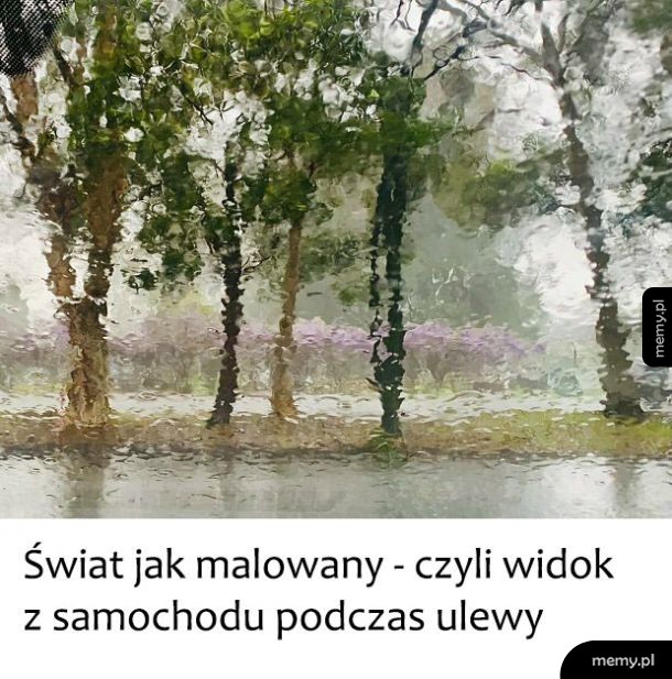 Widok z samochodu