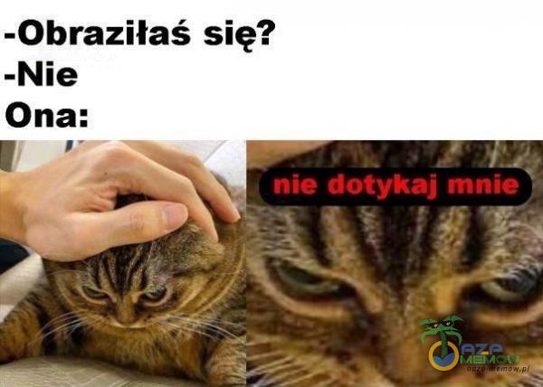 Laski takie sa