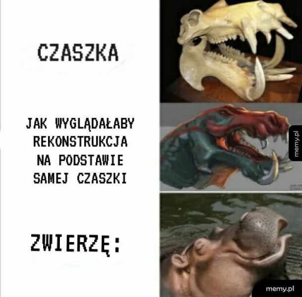 Tak samo z dinozaurami