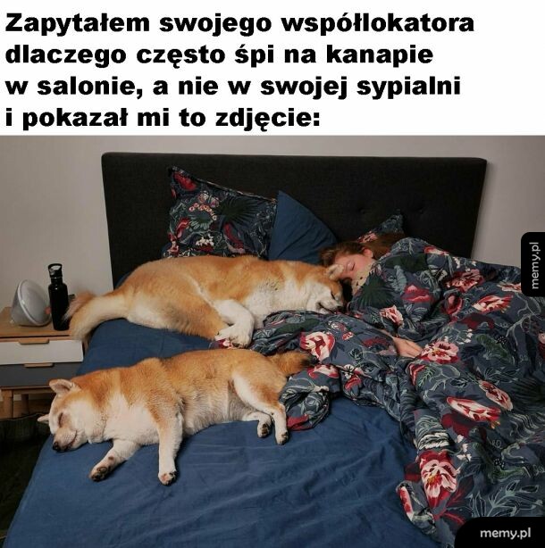 Teraz wiadomo