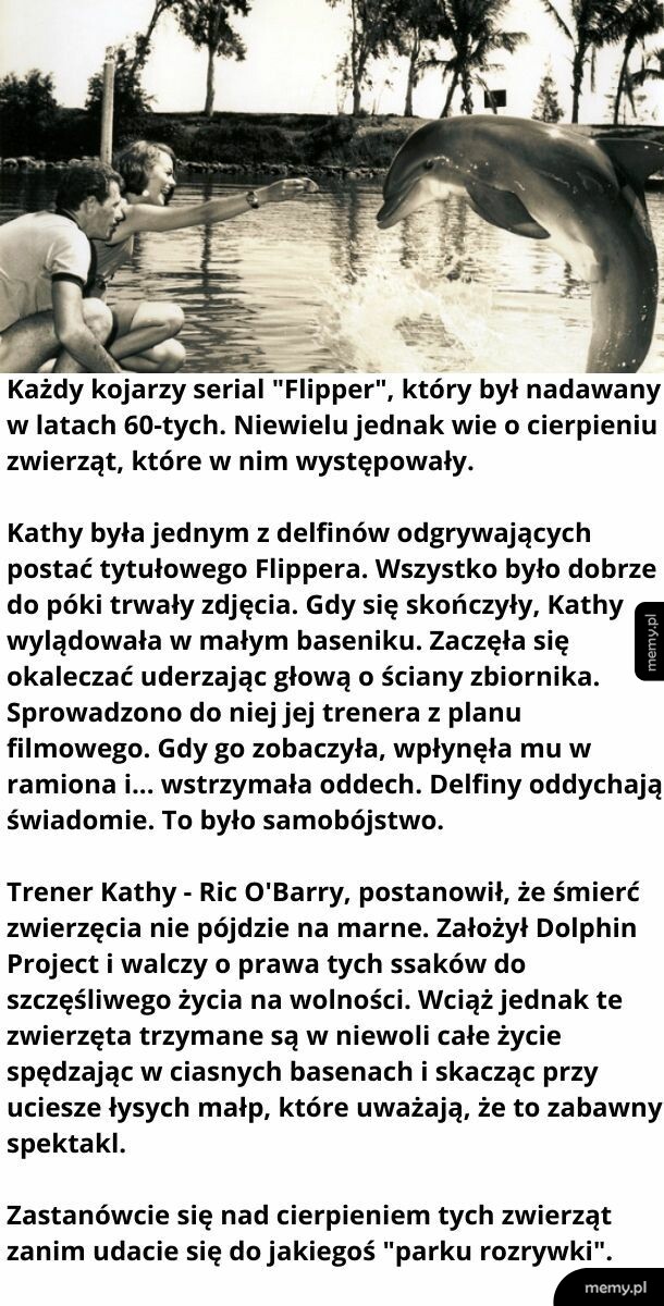 Flipper