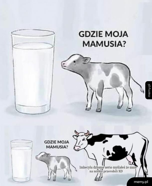 Ogarnij się