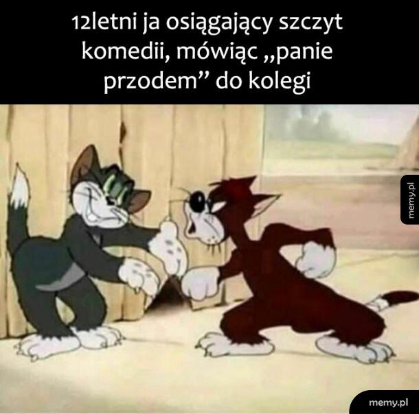 Szczyt komedii