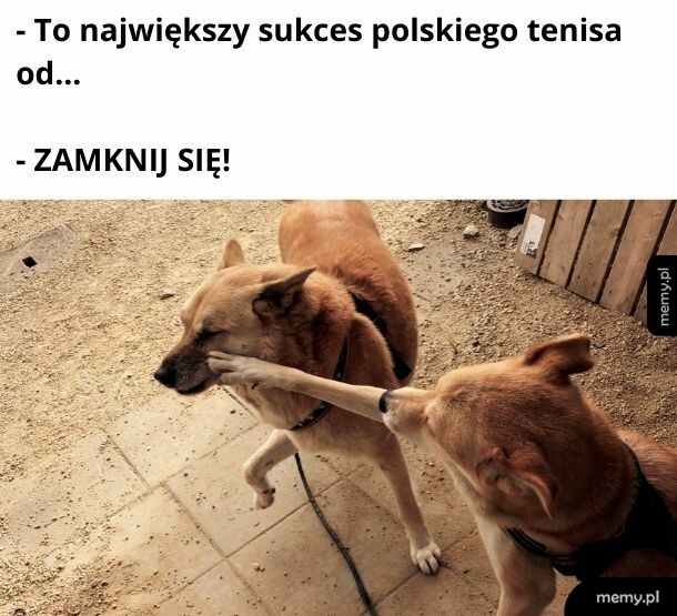 Już wystarczy