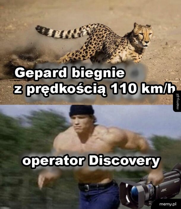 Operator Discovery