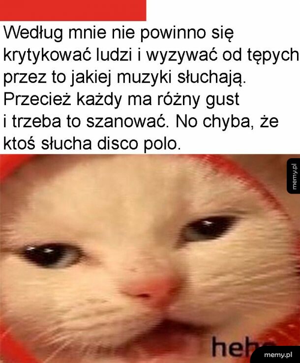 Krytyka