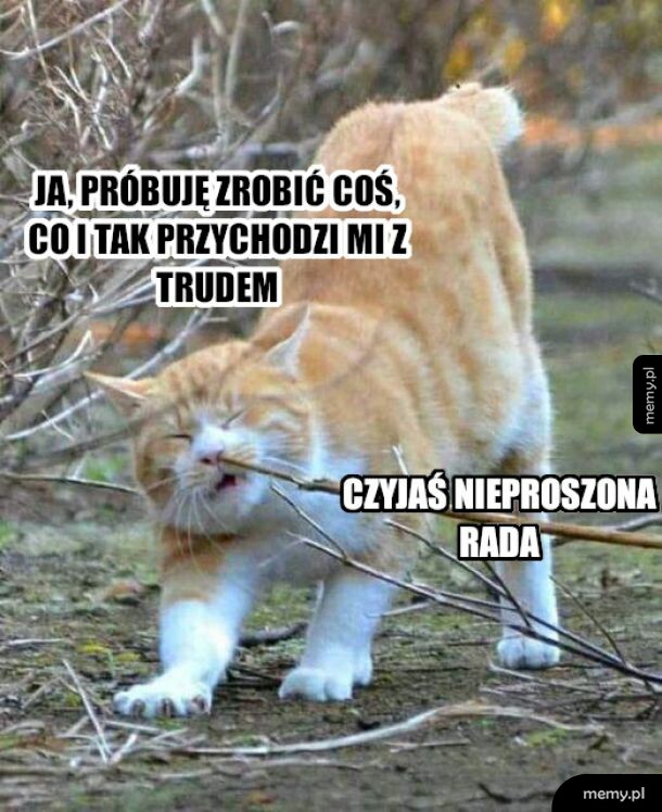 Weź daj mi spokój, JA TO WIEM!