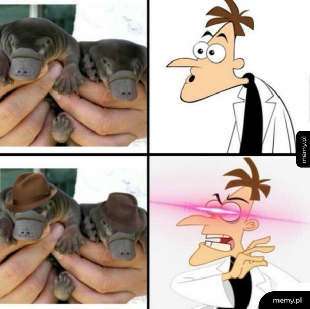 Pepe