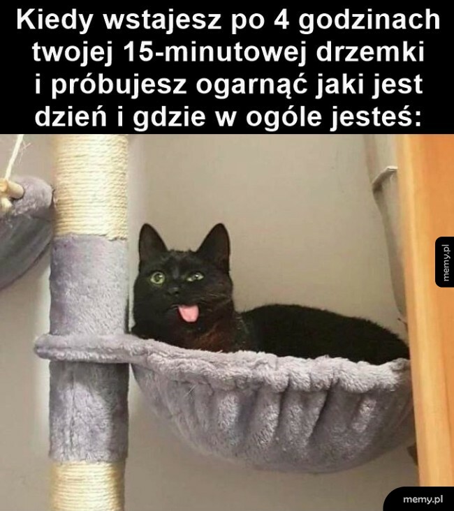 Krótka drzemka