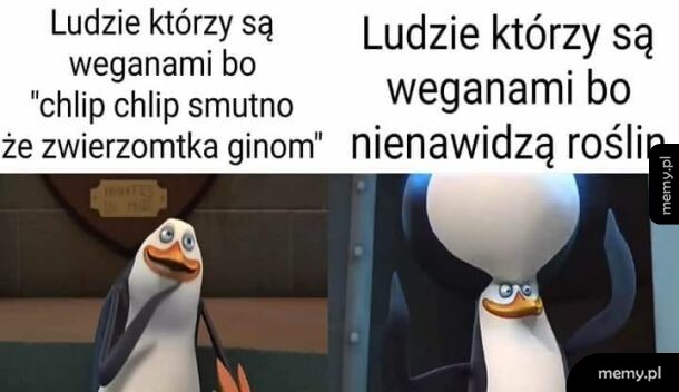 Najlepiej