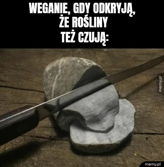 Czas na kamienie
