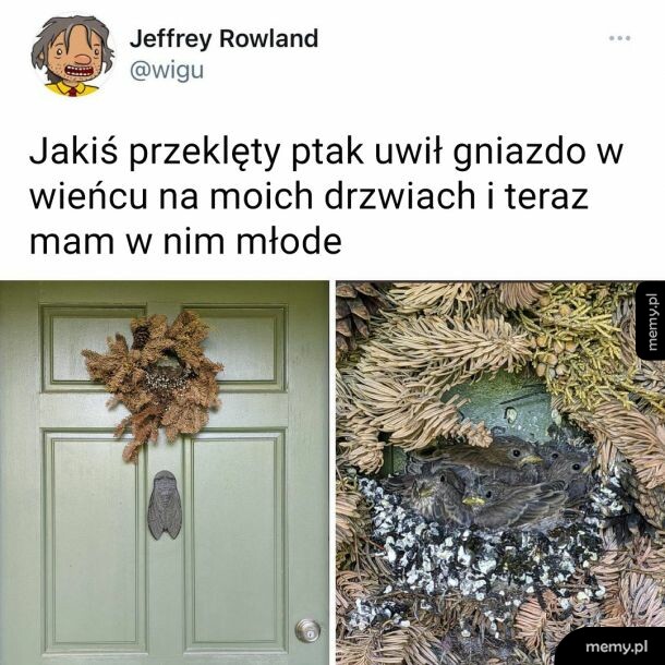 Niespodzianka