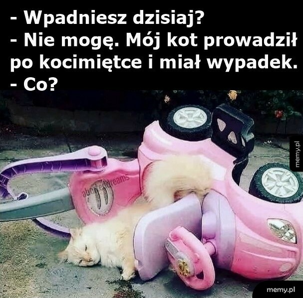 Dzisiaj nie mogę