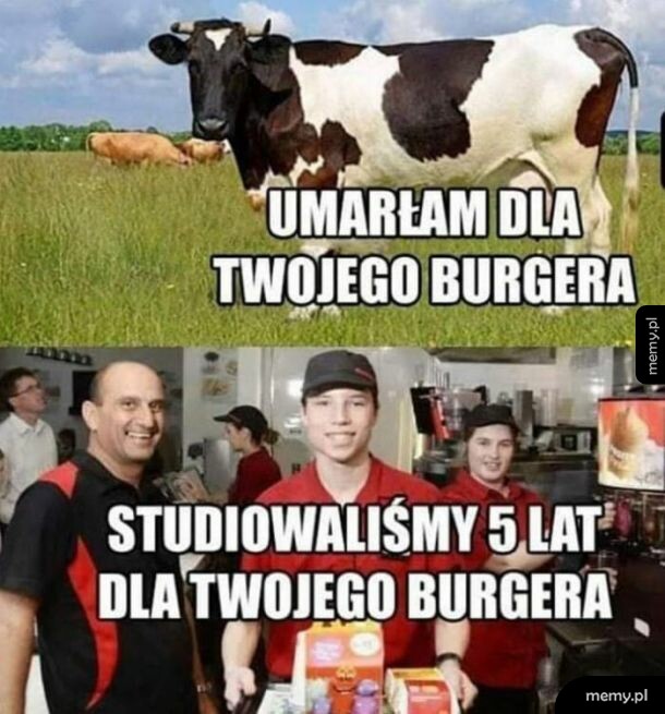 Burgerek