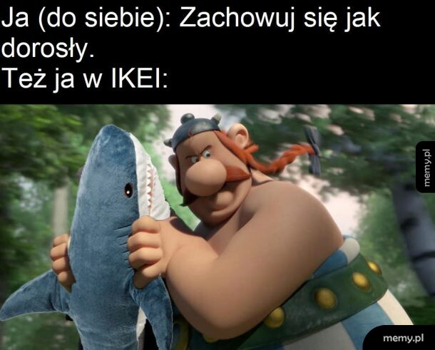 Mój rekinek