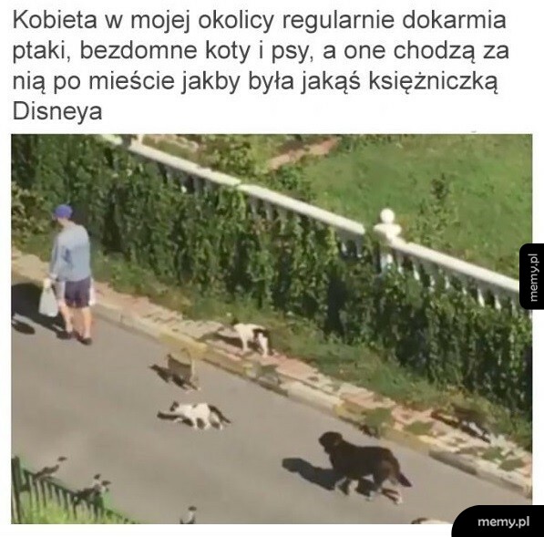 Księżniczka Disneya