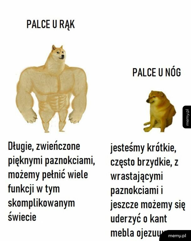 Rodzaje opalcowania
