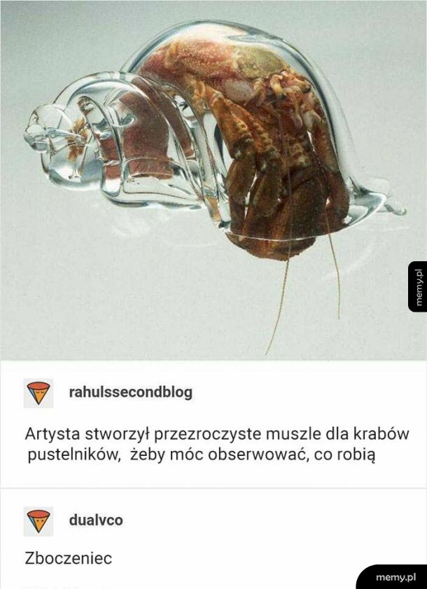 Krab