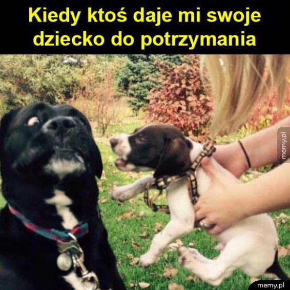 Dziecko