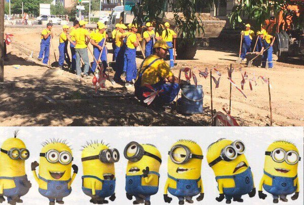 Minionki w pracy.