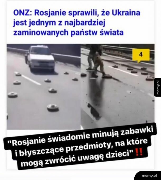 Zwierzęta