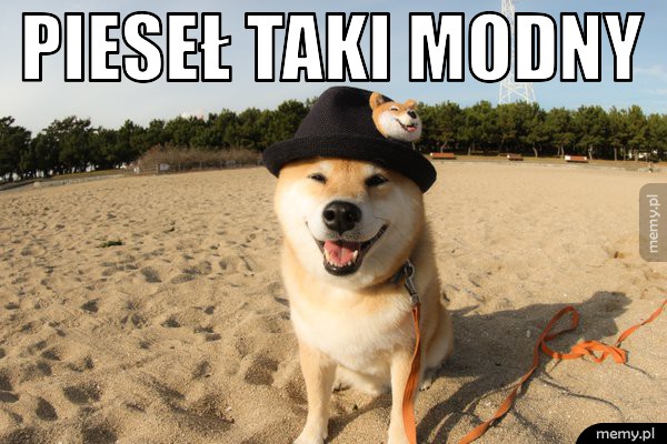 Pieseł