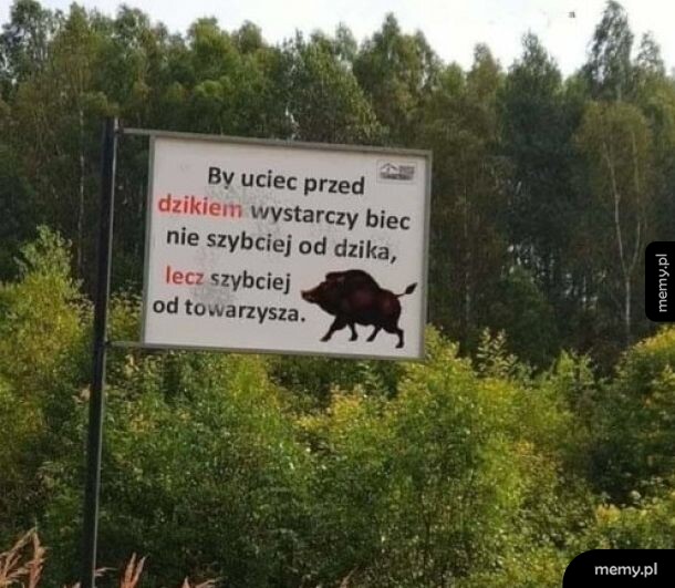 Ucieczka...