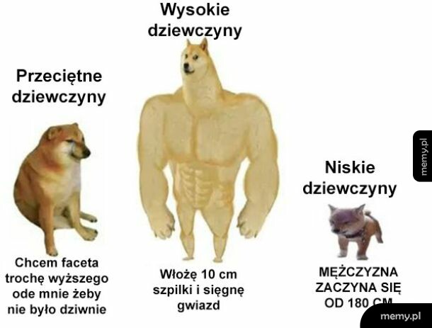 Mem porównujący podejście do wzrostu mężczyzn u przeciętnych, wysokich i niskich dziewczyn.