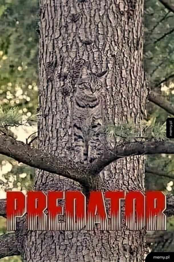 Kot idealnie zakamuflowany w korze drzewa z napisem Predator na dole.