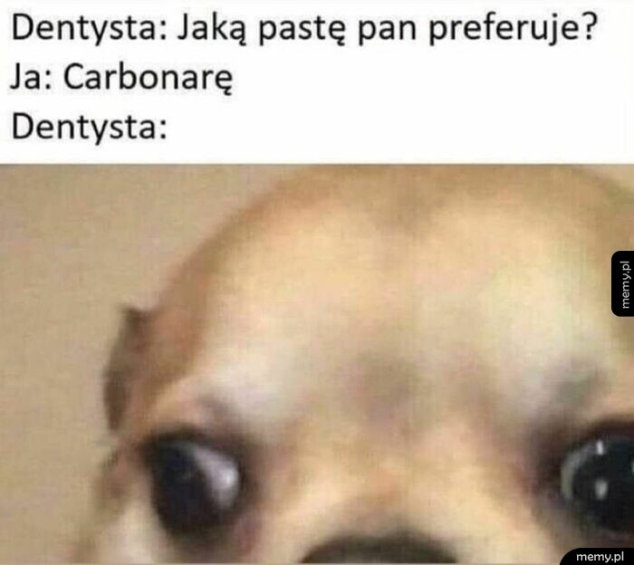 Mem z psem o dentyście i paście do zębów