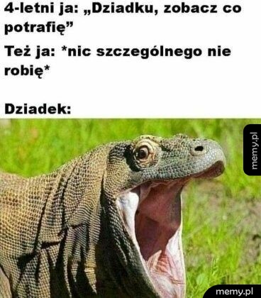 Jaszczurka z szeroko otwartym pyszczkiem na tle trawy.