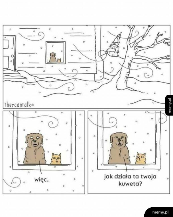Komiks: pies i kot patrzą przez okno na zimę, pies pyta kota o kuwetę.