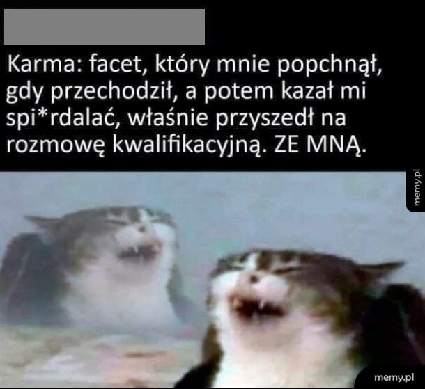 Dwa złe koty śmieją się szyderczo, powyżej tekst o karmie i rozmowie rekrutacyjnej.