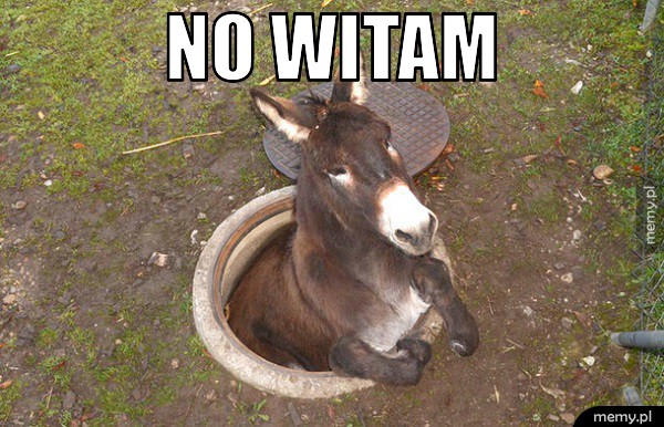 Witam
