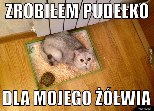 Pudełeczko 