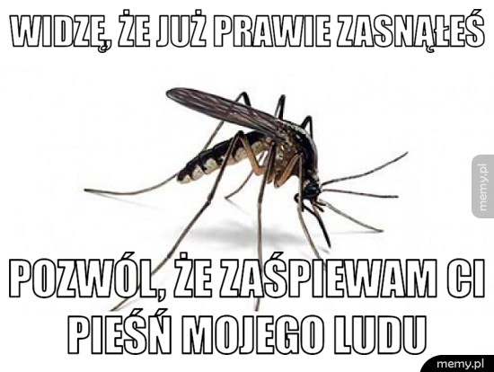 Spij słodko