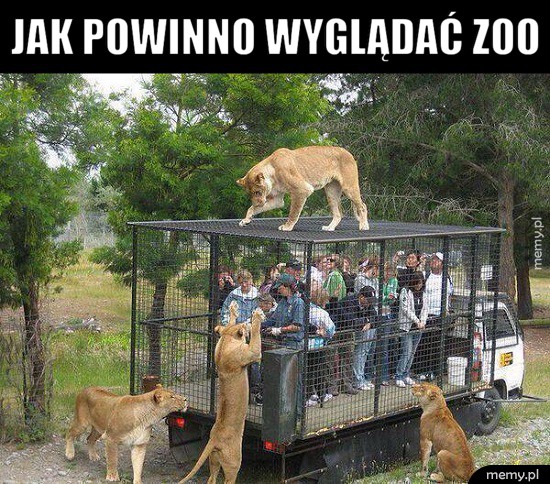 ZOO
