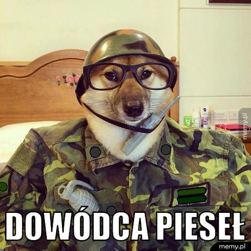           Pieseł 