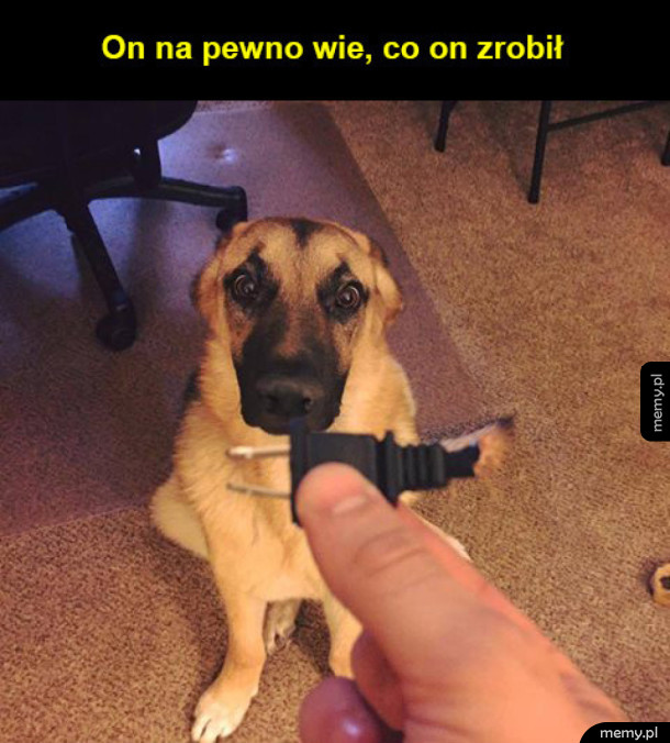 Winny